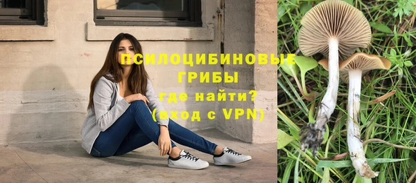 MESCALINE Богородск