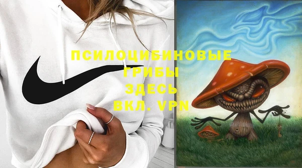 Альфа ПВП Богданович