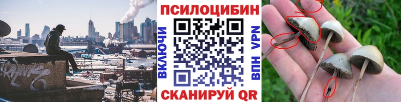 Галлюциногенные грибы MAGIC MUSHROOMS  Раменское 